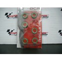 RULLI VARIATORE 16X13 GR. 6,0