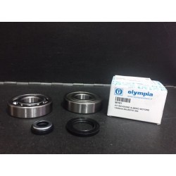 KIT CUSCINETTI REVISIONE ALBERO MOTORE YAMAHA MAJESTY 250