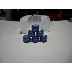 RULLI VARIATORE "POLINI" 20X12 GR. 8,5