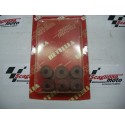 RULLI VARIATORE 16X13 GR. 2,9
