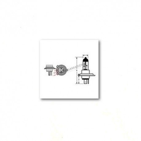 LAMPADA HS1 12V 35/35W ALOGENA PX43T  (2 PEZZI)