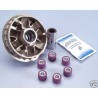 VARIATORE "POLINI" HONDA PANTHEON 125-150 2T