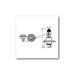 LAMPADA HS1 12V 35/35W ALOGENA PX43T (4 PZ)
