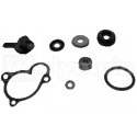 KIT REVISIONE GIRANTE POMPA ACQUA MINARELLI 250-270/YAMAHA 250-270