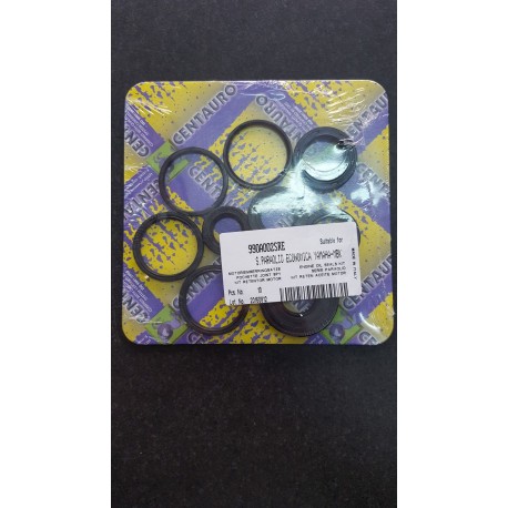 KIT PARAOLI MOTORE MINARELLI