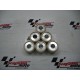 RULLI VARIATORE 21X17 GR. 10,7