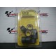 RULLI VARIATORE "MALOSSI" 20X12 GR. 9,5