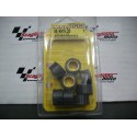 RULLI VARIATORE "MALOSSI" 20X12 GR. 9,5