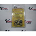RULLI VARIATORE "MALOSSI" 15X12 GR. 9,2