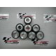 RULLI VARIATORE "POLINI" 25X17 GR. 15,0