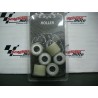RULLI VARIATORE 19X15,5 GR. 7,5