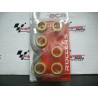 RULLI VARIATORE 19X17 GR. 8,7