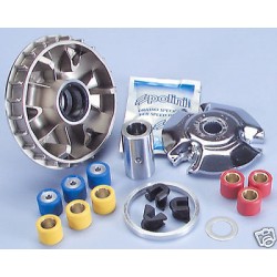 VARIATORE "POLINI" BEVERLY-LIBERTY-X8-X9-MP3 125 