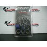 RULLI VARIATORE 16X13 GR. 5,5
