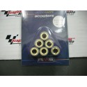 RULLI VARIATORE 16X13 GR. 9,0