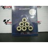 RULLI VARIATORE 16X13 GR. 9,0