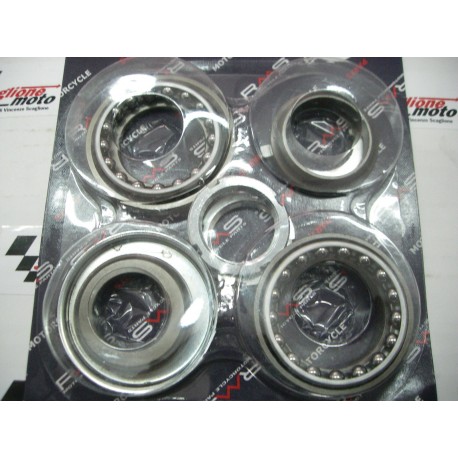 SERIE CALOTTE STERZO PIAGGIO BEVERLY 250-300