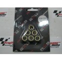 RULLI VARIATORE 15X12 GR. 4,7