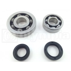 KIT REVISIONE ALBERO MOTORE PIAGGIO 50 4T DAL '05