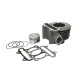 GRUPPO CILINDRO PISTONE PER KYMCO AGILITY 125 DAL 2006