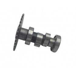 ALBERO ASSE A CAMME COMPATIBILE MALAGUTI CIAK  125/150/200
