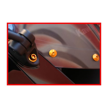 VITI CUPOLINO IN ERGAL "EVOTECH" KAWASAKI  ZX6R/RR '03-'04