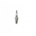 CANDELA CHAMPION N9YC