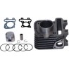 KIT CILINDRO COMPLETO 50cc PIAGGIO LIBERTY 4T 2 valvole