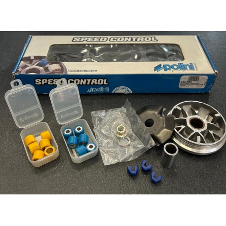 VARIATORE POLINI  PIAGGIO FREE 50 GILERA EASY MOVING/STORM/TYPHOON 241.460