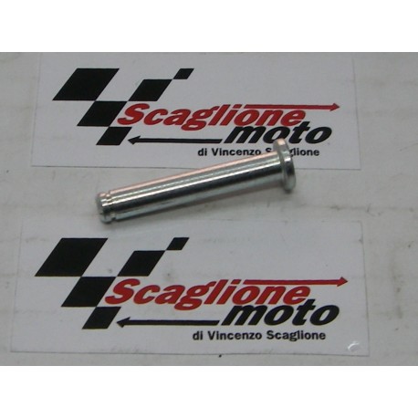 PERNO FULCRO STAFFA MOBILE ORIGINALE MALAGUTI PASSWORD