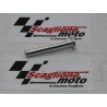 PERNO FULCRO STAFFA MOBILE ORIGINALE MALAGUTI PASSWORD