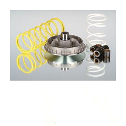 VARIATORE "MALOSSI" HONDA PANTHEON 125-150 2T