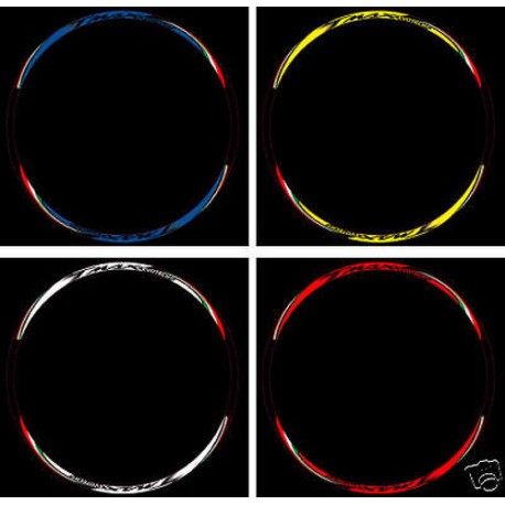 ADESIVI CERCHI "EVOTECH" T-MAX "COLORATI" 